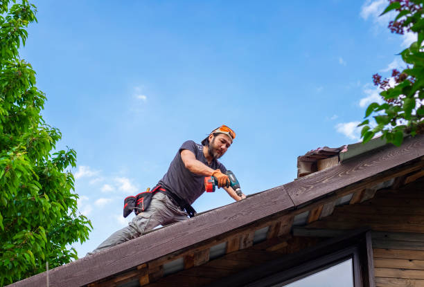 Best Siding Services  in Canton, OH